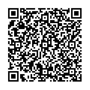 海上无人系统集群发展现状及关键技术研究进展